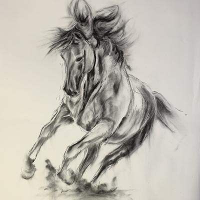 Study 1