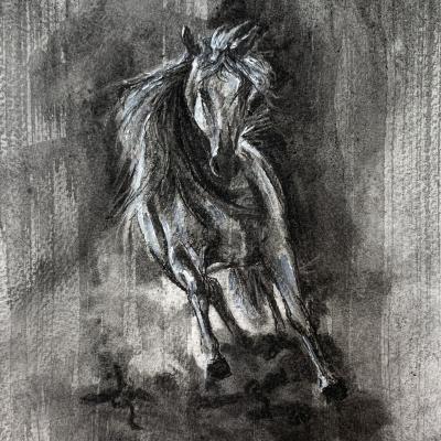 Study 3