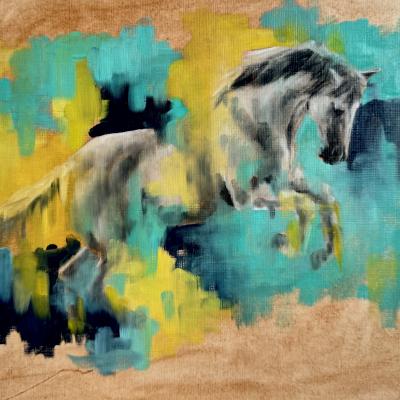 Study 5