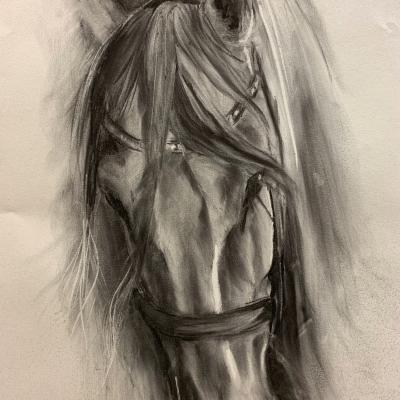 Head Study
