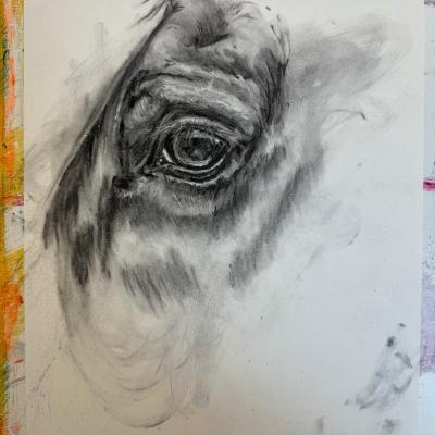 Eye Study