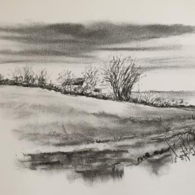 Landscape Study 1