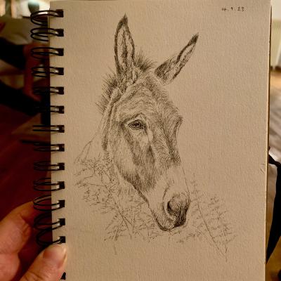 France daily sketch 4