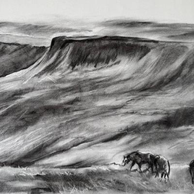 Ponies on Pen Y Fan