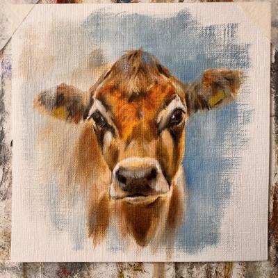 Jersey Study