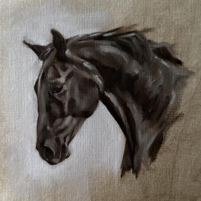 Horse Head Study