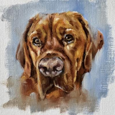 Barney dog